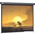 Проекционный экран CACTUS Wallscreen 124x221 CS-PSW-124X221-SG