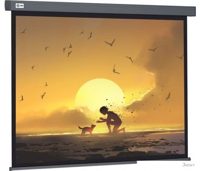  CACTUS Wallscreen 124x221 CS-PSW-124X221-SG