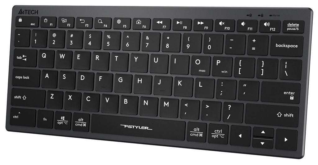 Клавиатура A4Tech Fstyler FX51 (серый/черный)