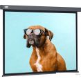 Проекционный экран CACTUS Wallscreen 149x265 CS-PSW-149X265-SG