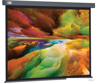   CACTUS Wallscreen 152x203 CS-PSW-152X203-SG