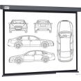 Проекционный экран CACTUS Wallscreen 168x299 CS-PSW-168X299-SG