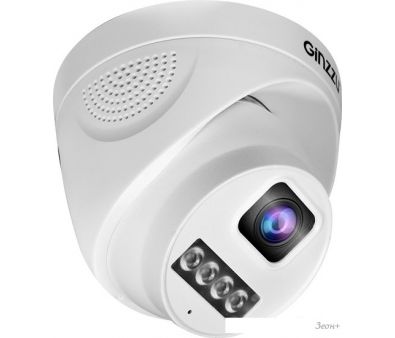 IP- Ginzzu HID-4301A