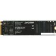 SSD Digma Meta G2 1TB DGSM4001TG23T