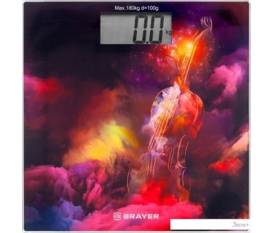   Brayer BR3732