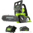 Аккумуляторная пила Greenworks G24CS25K4 (с 1-им АКБ)