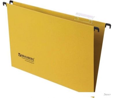   BRAUBERG 231794 (10 )