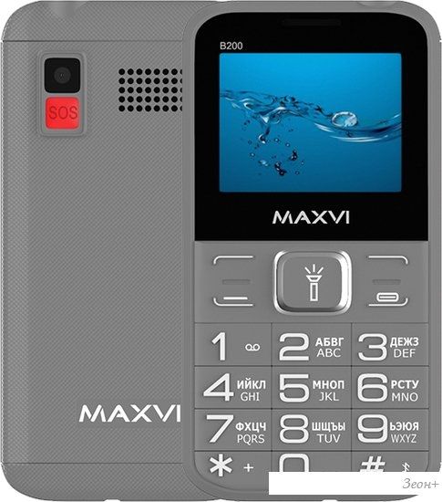 Кнопочный телефон Maxvi B200 (серый)