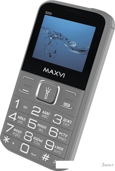 Кнопочный телефон Maxvi B200 (серый)