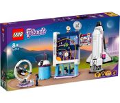  LEGO Friends 41713   