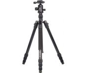  Raylab Pro 75 ( )