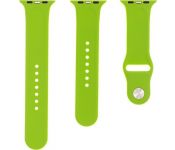  Evolution AW44-S01  Apple Watch 42/44  (green)