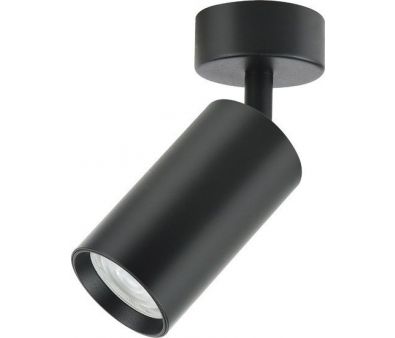 Спот TruEnergy 35W 21331