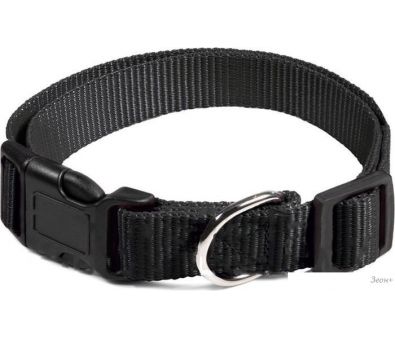  Gamma  11262002 (M, )