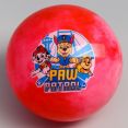   Paw Patrol, 22 , 60 , , 