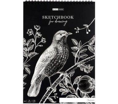  ArtSpace Black line. Bird Sk420_38360 (20 )