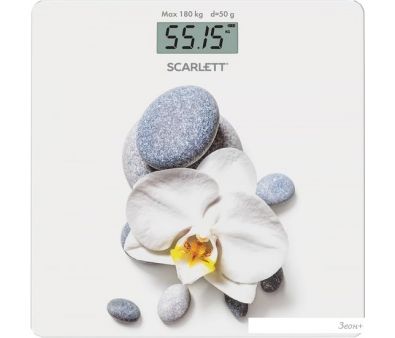   Scarlett SC-BS33E020