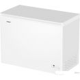   Haier HCE251R