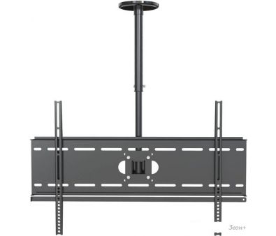  CACTUS CS-CP04-R