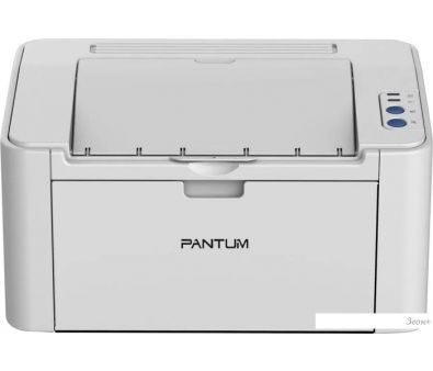  Pantum P2506W