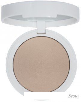   Shik Glow Perfect Powder Light