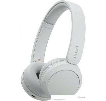  Sony WH-CH520 ()