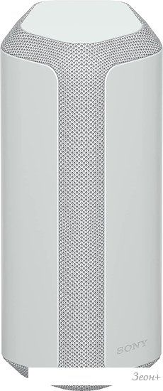 Беспроводная колонка Sony SRS-XE300 (серый)