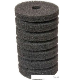   Barbus Sponge 002