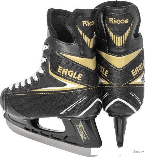 Хоккейные коньки Ricos Eagle PW-206AJ (р.42)