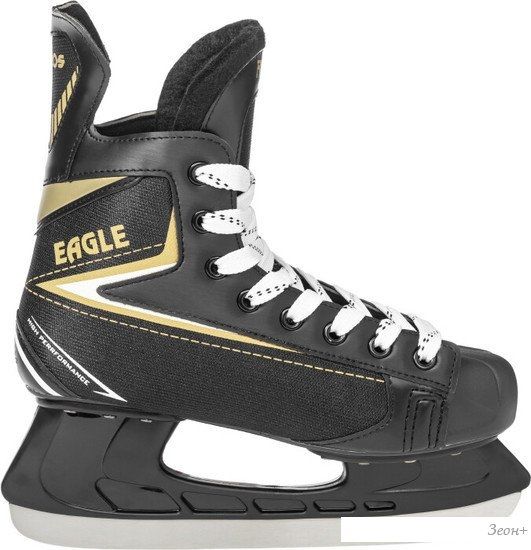 Хоккейные коньки Ricos Eagle PW-206AJ (р.43)
