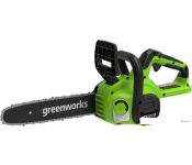  Greenworks G40CS30II 2007807 ( )