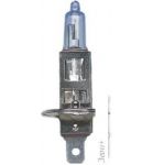   Magneti Marelli H1 Blue Light 2601100000 1