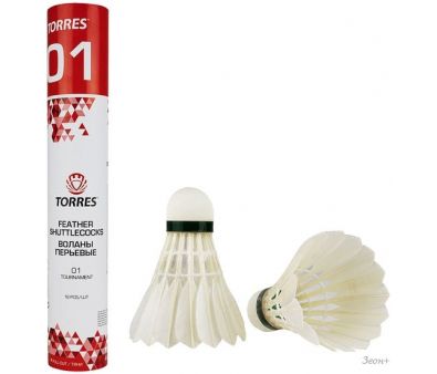   Torres 01 BD20120 (12 )