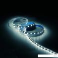   Gauss Basic LED 5050/60 12V 8W/m 900lm/m 4000K 10mm IP20 3m 1/100 BT023