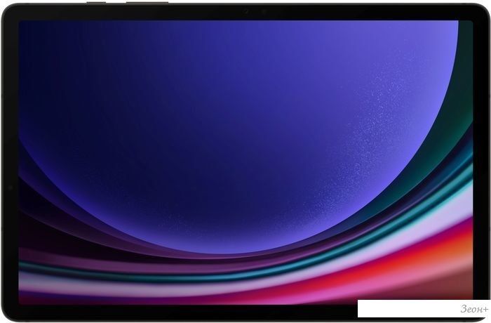 Планшет Samsung Galaxy Tab S9 5G SM-X716 8GB/128GB (графитовый)