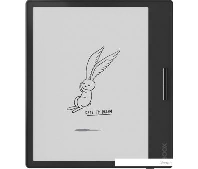   Onyx BOOX Page