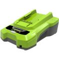 Зарядное устройство Greenworks G24C4 (24В)