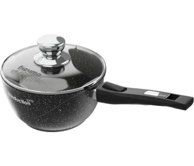    Star Induction Pro 082802
