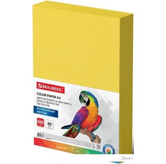   BRAUBERG 4 80 /2 500  115216 ()