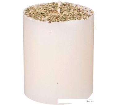 Ароматизированая свеча Adpal 348-898