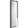 Душевая дверь Aquatek AQ ARI PI 10020BL 100x200 (черный/прозрачное стекло)