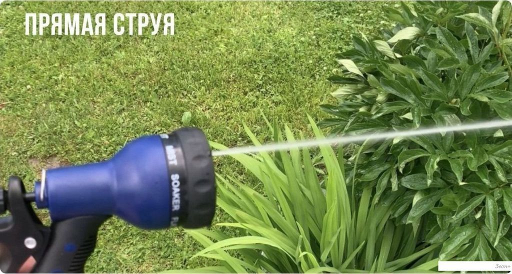 Распылитель FIT 77307 (синий)