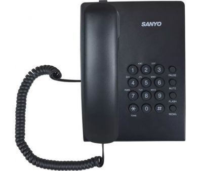   Sanyo RA-S204B