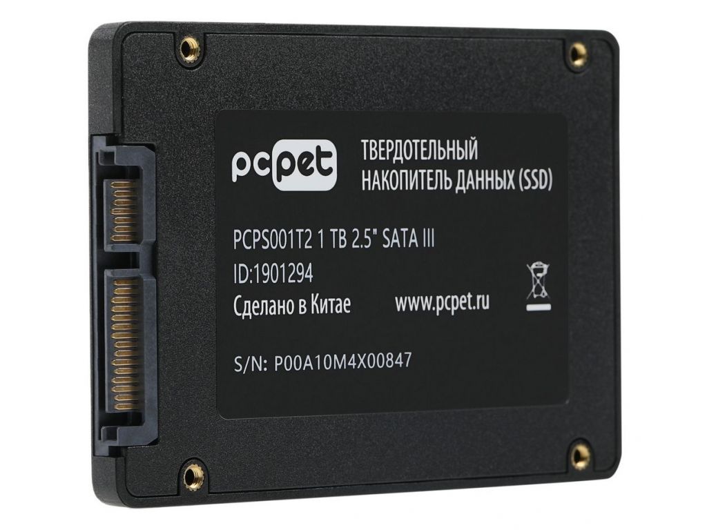 SSD PC Pet 1TB PCPS001T2