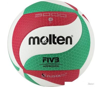   Molten V5M5000X (5 )