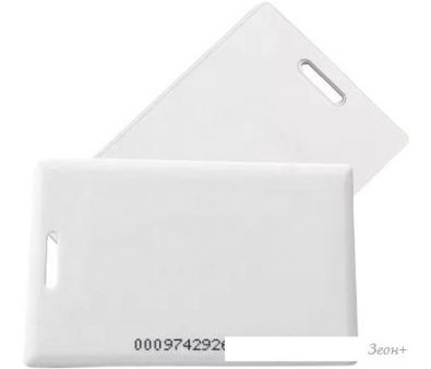   ZKTeco ID Thick Card