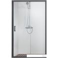 Душевая дверь Aquatek AQ ARI RA 10020BL 100x200 (черный/прозрачное стекло)