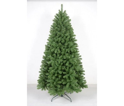  Winter Time 245 NRV08-1537T