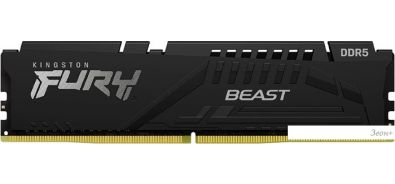   Kingston FURY Beast 32 DDR5 5200 KF552C36BBE-32