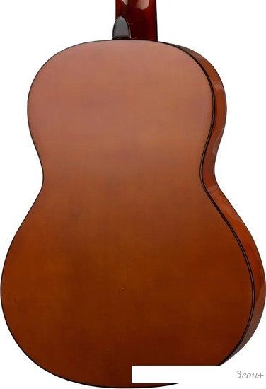 Акустическая гитара Naranda CG120-1/2